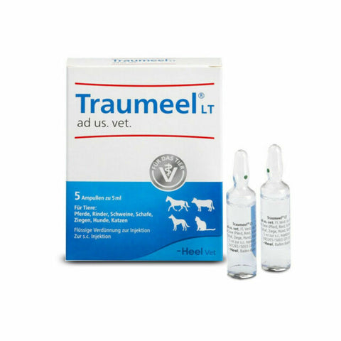 Traumeel S Ampoules - Large, 5ml, 5 Amps